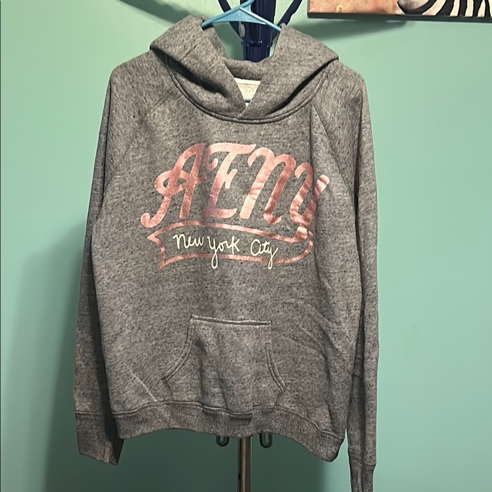 American Eagle Outfitters Gray Graphic Hoodie Sweatshirt